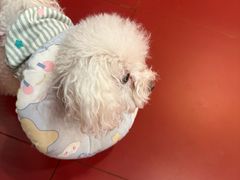 -和它·交个朋友·狗咖猫咖(爱琴海店)
