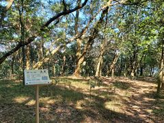 -梧桐山风景名胜区