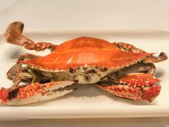 -大锅强·蒸海鲜青岛菜(金沙滩店)