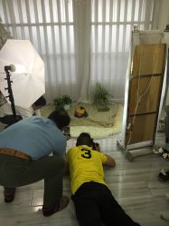 -邦叔叔.亲子全家福毕业照跟拍摄影(嘉定店)