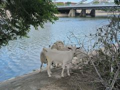 -北运河水利风景区