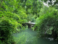 -乌镇景区