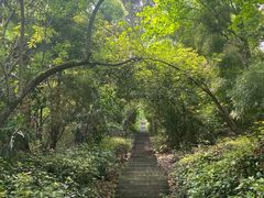 -潜山国家森林公园