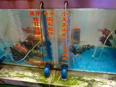 -惠食佳(滨江大公馆店)