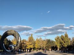 -大兴滨河森林公园