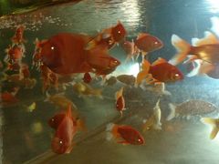 android_upload_pic-中影国际影城(兰生大厦CINITY LED店)