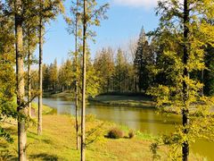 -黄海国家森林公园