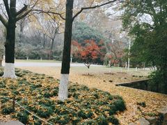 -灵谷景区
