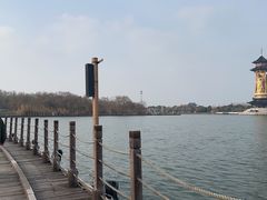 -溱湖国家湿地公园