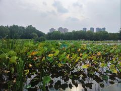 -太阳宫公园