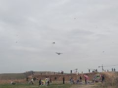 -白鹭湾湿地公园