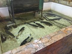 -鱼窝棚柴火铁锅炖(富山屯店)