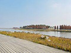 -春花秋色城市公园