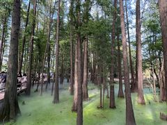 -东湖落雁景区