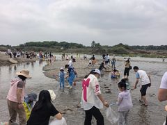 -绿堤公园