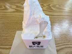 -野人先生Gelato(上海长宁龙之梦店)
