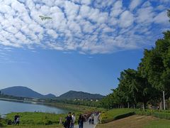 -风云岭森林公园