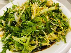 拌苦菊-华春餐馆(鱼山路店)