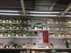 -宜家·瑞典风味餐厅(三桥店)