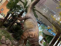 -湖南省地质博物馆