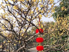-无锡梅园公园