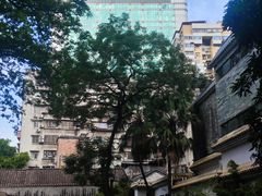 -孖记茶档·热腾茶餐(江南西plus店)