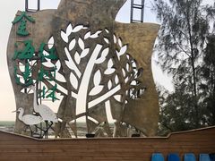 -北海金海湾红树林生态旅游区