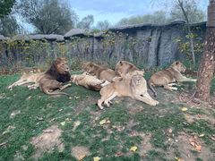 -北京野生动物园