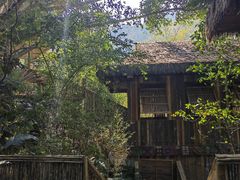 -西双版纳原始森林公园