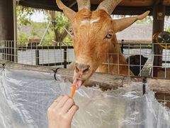 -珠海海泉湾神秘岛亲子乐园