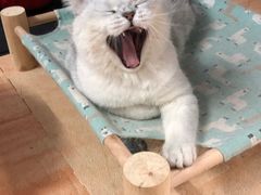 -爱侣宠医·鹦鹉专科·小型哺乳类·异宠专科(灵石路店)