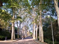 -武汉大学-樱园