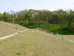 -佛手湖郊野公园