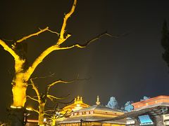 -青岛方特梦幻王国