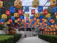 -大槐树寻根祭祖园