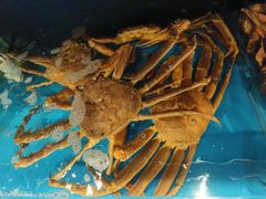 -蟹田居·活蟹料理(东城店)