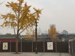 -大雁塔北广场音乐喷泉