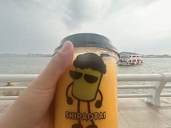 -石炮台公园