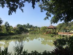 -林丰温泉度假山庄