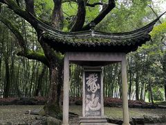 -兰亭风景区