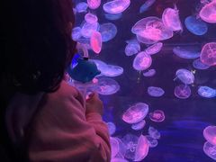 -泉城欧乐堡海洋极地世界