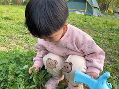 -羊山湖公园