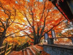 -光雾山旅游景区