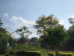 -西双版纳总佛寺