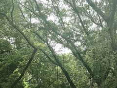 -晓港公园