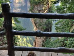 -胡师傅三下锅(汽车站店)