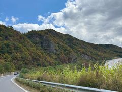 -天女山森林公园