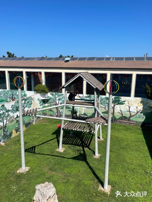 西霞口神雕山野生动物世界图片