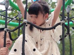 -合肥滨湖国家森林公园