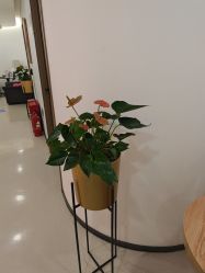 -丰联丽格医疗美容·联合丽格眼整形中心